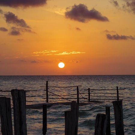 Golden Paradise Hostel Isla Holbox Exterior photo