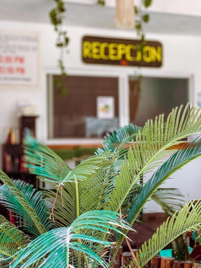 Golden Paradise Hostel Isla Holbox Exterior photo