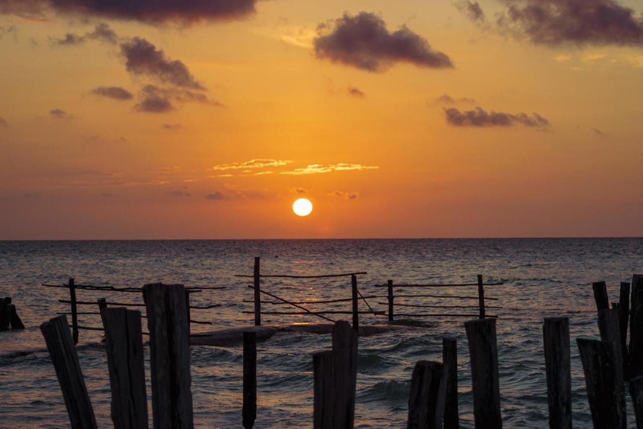 Golden Paradise Hostel Isla Holbox Exterior photo