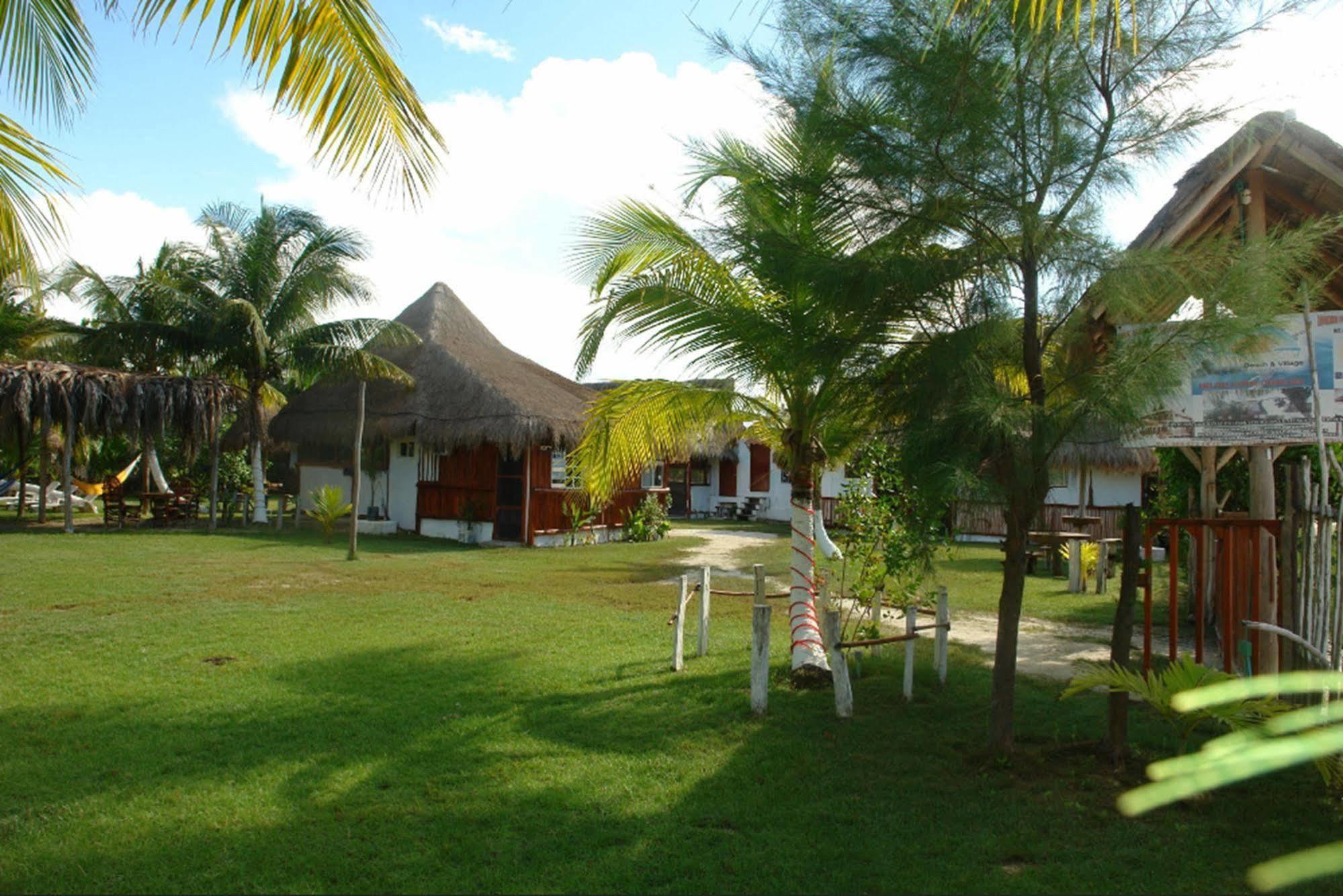 Golden Paradise Hostel Isla Holbox Exterior photo